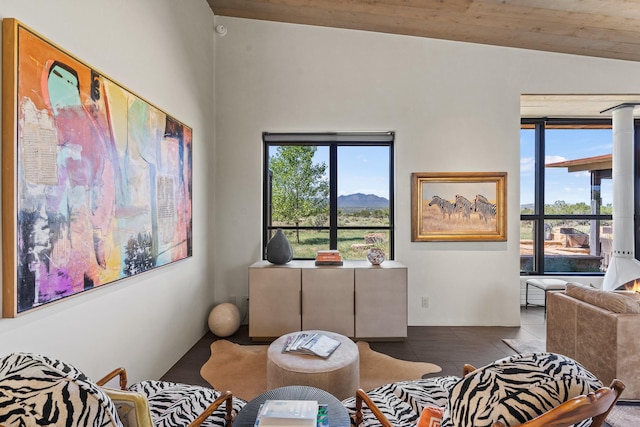 24 Whispering Spirits Dr, Cerrillos, NM 87010 - living room with a mountain view and wooden ceiling