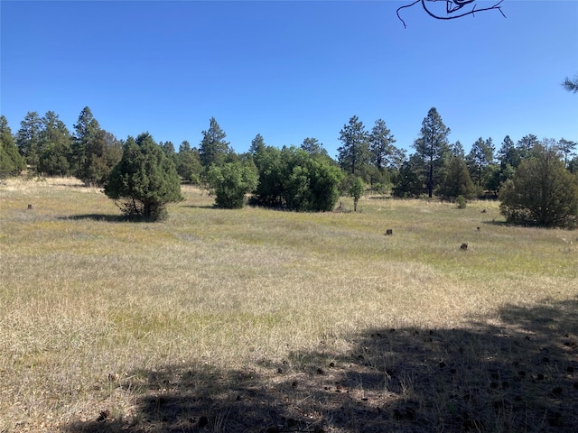 32 Doe Rim Loop, Los Ojos, NM 87551 - view of nature with rural landscape