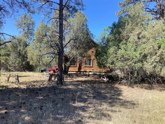 32 Doe Rim Loop, Los Ojos, NM 87551 - view of yard