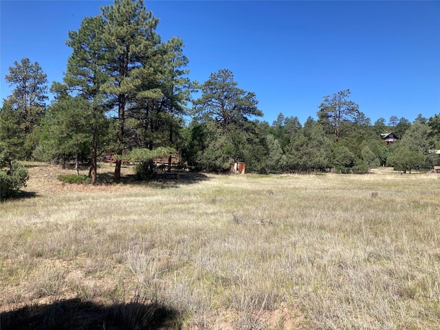 32 Doe Rim Loop, Los Ojos, NM 87551 - view of nature with rural landscape