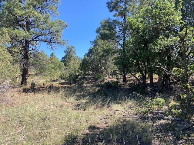 32 Doe Rim Loop, Los Ojos, NM 87551 - view of undeveloped land