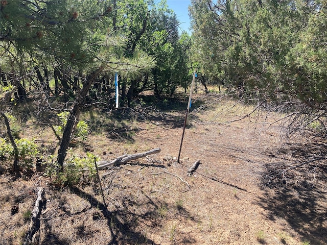 32 Doe Rim Loop, Los Ojos, NM 87551 - view of nature