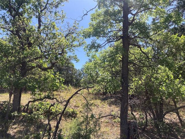 32 Doe Rim Loop, Los Ojos, NM 87551 - view of local wilderness