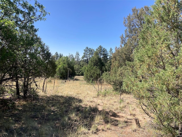 32 Doe Rim Loop, Los Ojos, NM 87551 - view of tree filled area