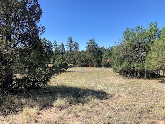 32 Doe Rim Loop, Los Ojos, NM 87551 - view of tree filled area