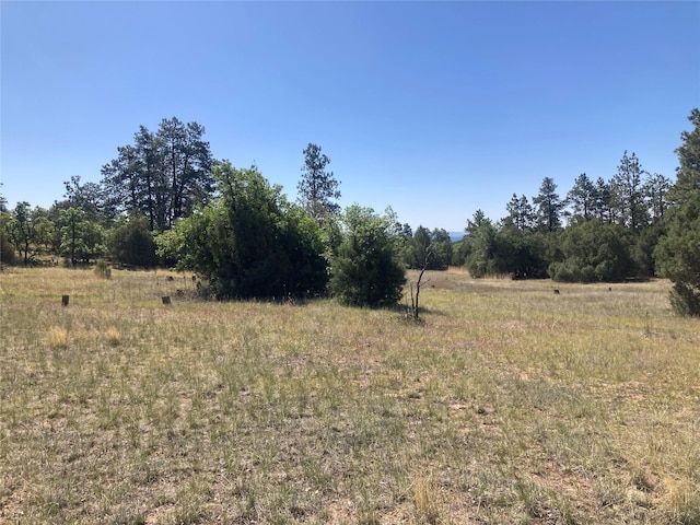 32 Doe Rim Loop, Los Ojos, NM 87551 - view of yard featuring a rural view