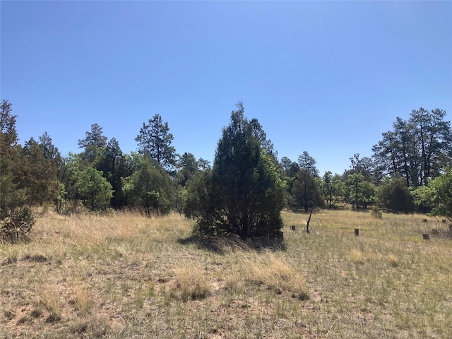 32 Doe Rim Loop, Los Ojos, NM 87551 - view of undeveloped land