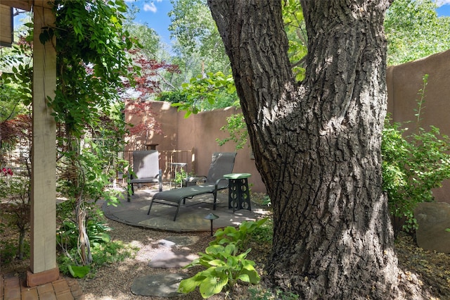 605 Acequia Madre, Santa Fe, NM 87505 - view of patio