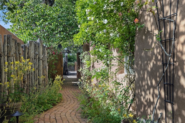 605 Acequia Madre, Santa Fe, NM 87505 - view of yard
