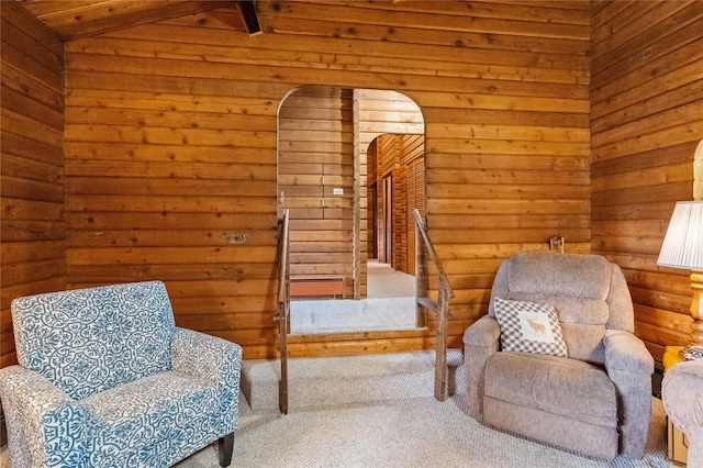 19 Canoe Ct, Jemez Springs, NM 87025 - living area with arched walkways, carpet, and lofted ceiling