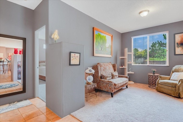 3 Hunters Run, Santa Fe, NM 87508 - sitting room with carpet flooring