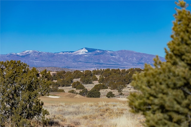 5 N Brisa Fresca, Santa Fe, NM 87506 - mountain view
