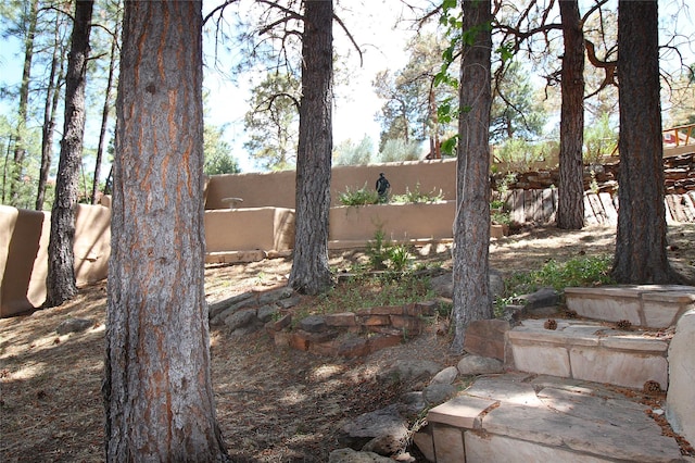 986 Alamo Rd, Los Alamos, NM 87544 - view of fenced backyard