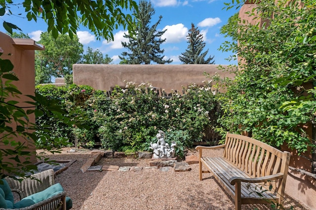 359 Garcia St, Santa Fe, NM 87501 - view of yard