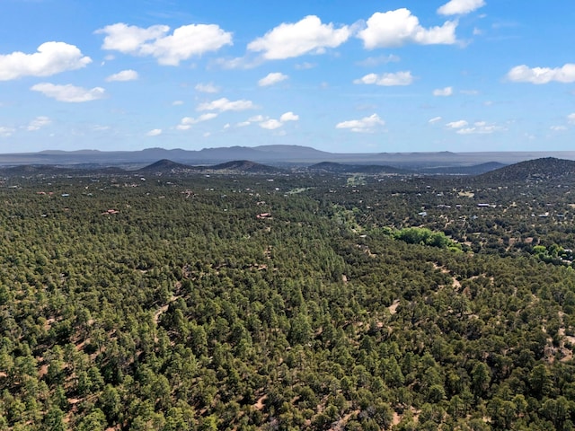LOTSB-3 1-5 Lone Pine Rdg, Santa Fe, NM 87505