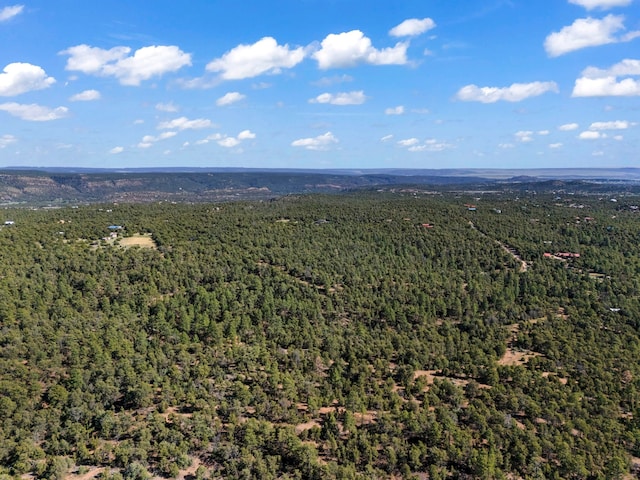 LOTSB-3 1-5 Lone Pine Rdg, Santa Fe, NM 87505