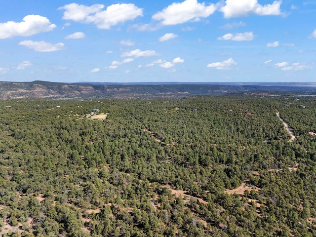 LOTSB-3 1-5 Lone Pine Rdg, Santa Fe, NM 87505