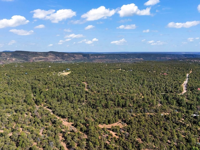 LOTSB-3 1-5 Lone Pine Rdg, Santa Fe, NM 87505