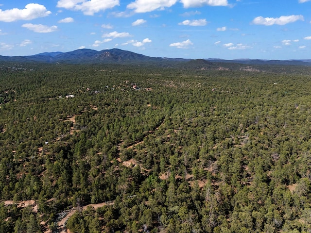 LOTSB-3 1-5 Lone Pine Rdg, Santa Fe, NM 87505