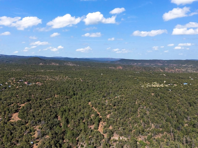 LOTSB-3 1-5 Lone Pine Rdg, Santa Fe, NM 87505