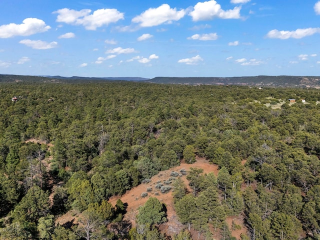LOTSB-3 1-5 Lone Pine Rdg, Santa Fe, NM 87505