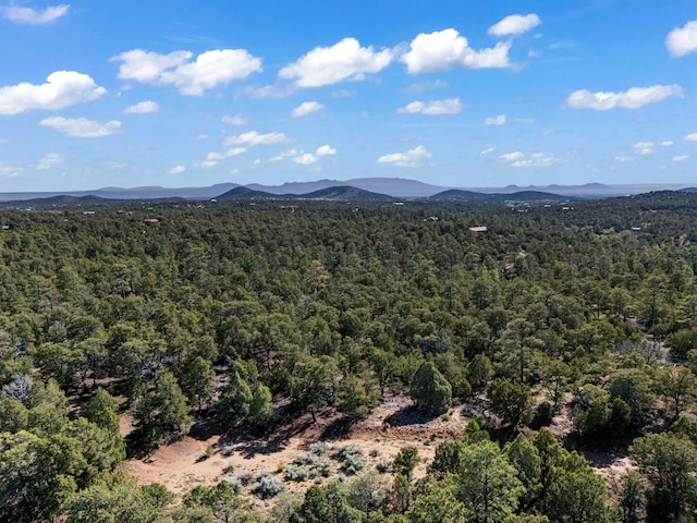 LOTSB-3 1-5 Lone Pine Rdg, Santa Fe, NM 87505