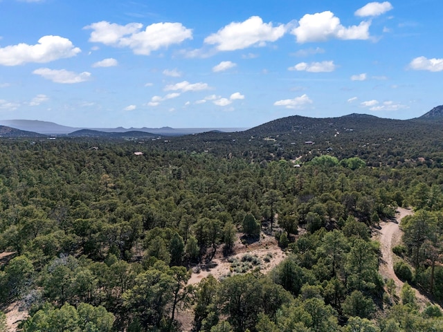 LOTSB-3 1-5 Lone Pine Rdg, Santa Fe, NM 87505