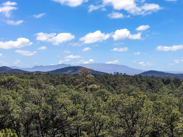 LOTSB-3 1-5 Lone Pine Rdg, Santa Fe, NM 87505