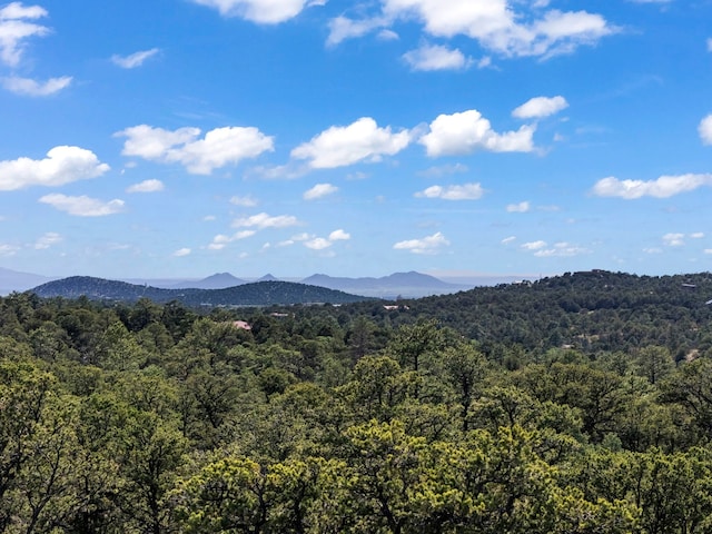 LOTSB-3 1-5 Lone Pine Rdg, Santa Fe, NM 87505