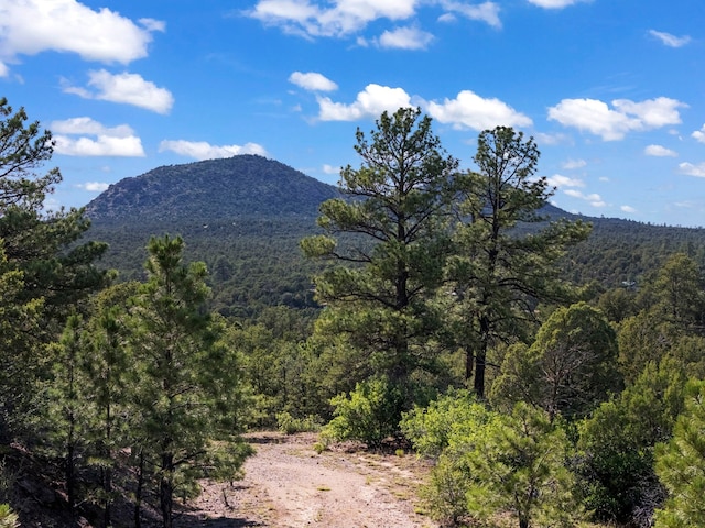 LOTSB-3 1-5 Lone Pine Rdg, Santa Fe, NM 87505