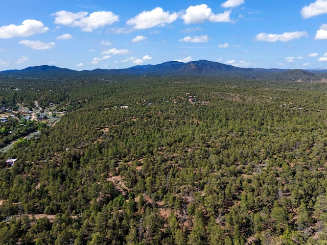 LOTSB-3 1-5 Lone Pine Rdg, Santa Fe, NM 87505