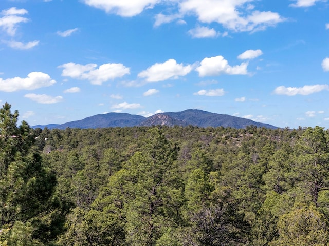 LOTSB-3 1-5 Lone Pine Rdg, Santa Fe, NM 87505