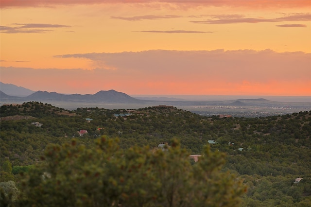 51 Coyote Mountain Rd, Santa Fe, NM 87505 - view of mountain backdrop with a heavily wooded area