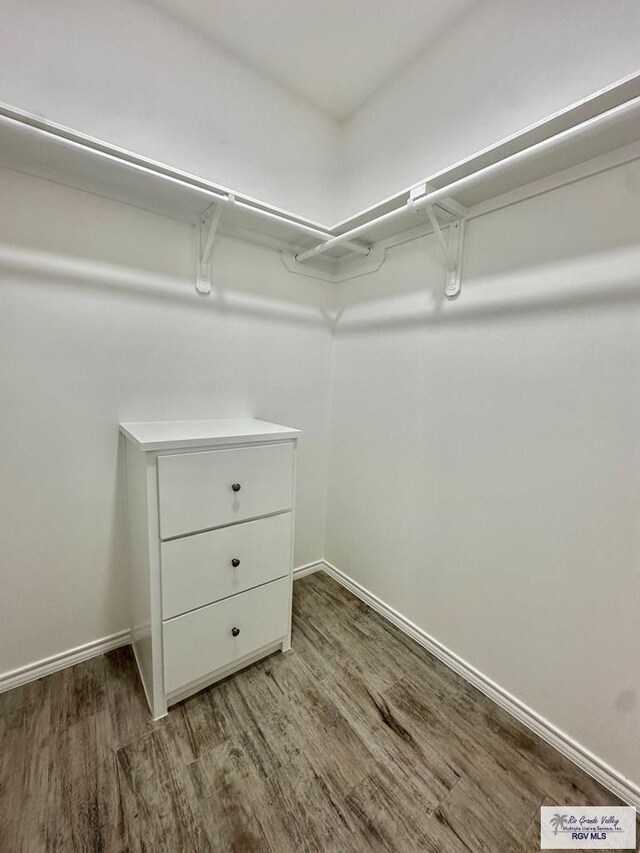 walk in closet with hardwood / wood-style floors