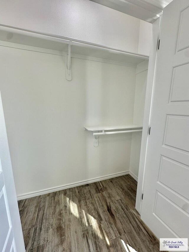 spacious closet with dark wood-type flooring