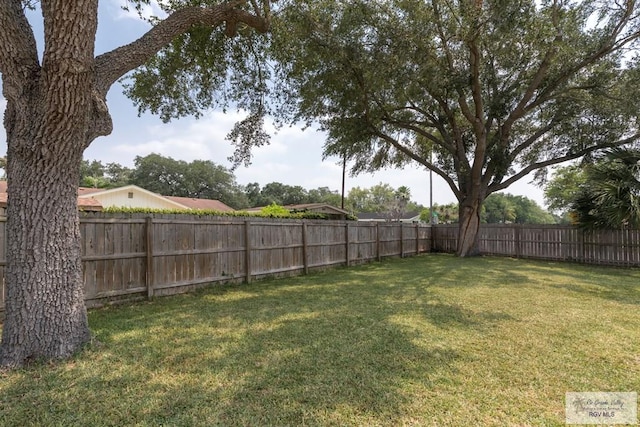 1409 Pine Ct, Harlingen, TX 78550 - view of yard