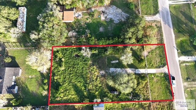 30119 Calle Feliz, San Benito, TX 78586