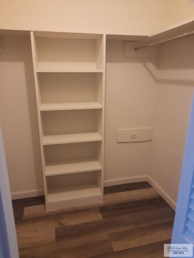 spacious closet featuring dark wood-style flooring