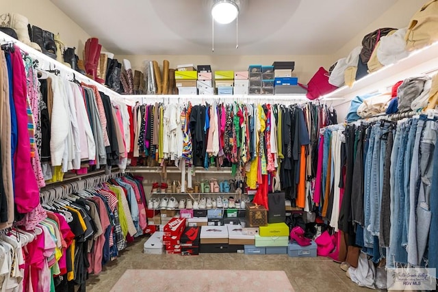 view of spacious closet