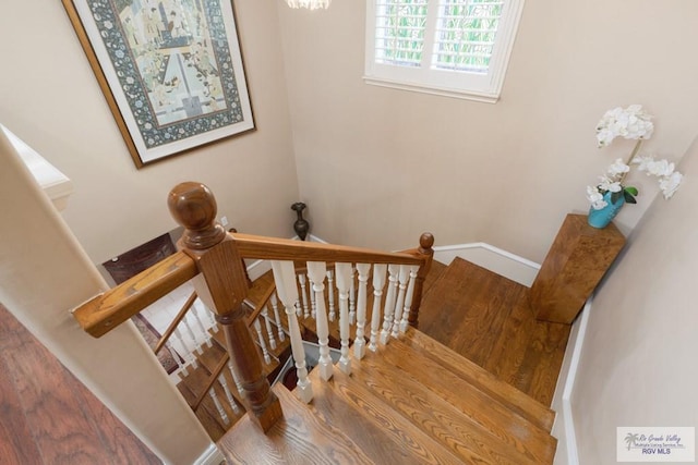 stairway with wood-type flooring