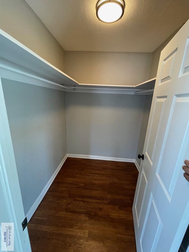 walk in closet featuring dark hardwood / wood-style floors