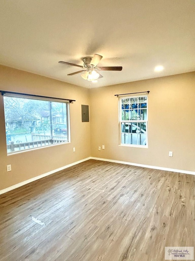 spare room with a wealth of natural light, electric panel, and wood finished floors