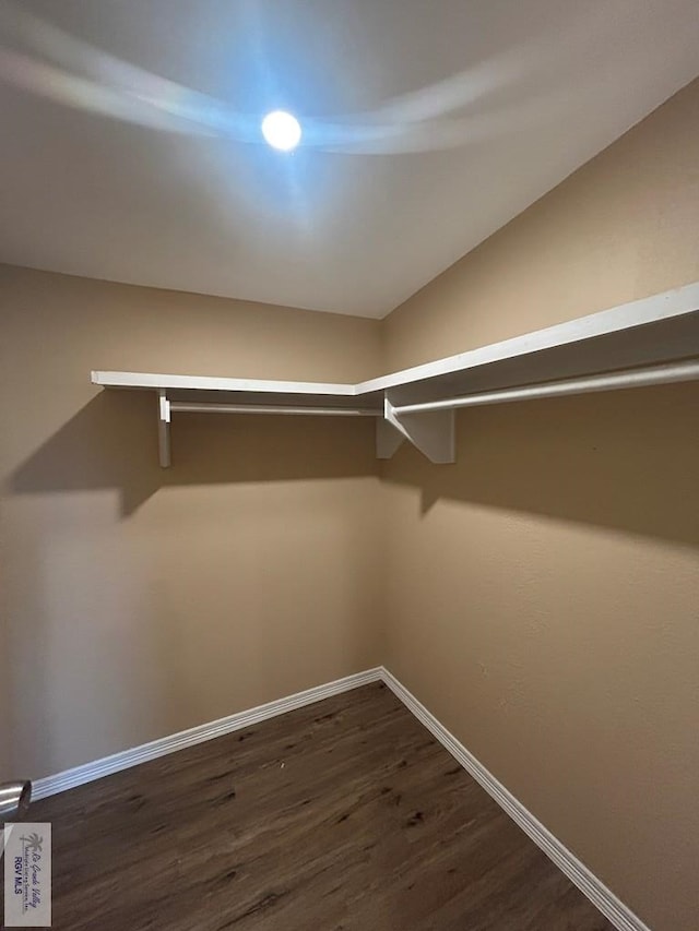 walk in closet featuring dark wood-style flooring