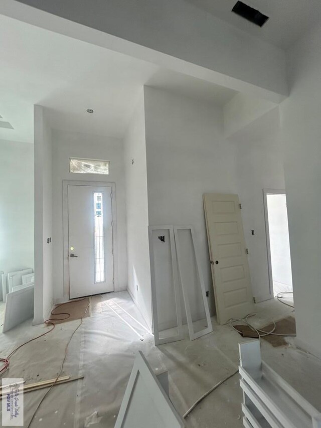 132 Finch Dr, Los Fresnos, TX 78566 - view of spacious closet