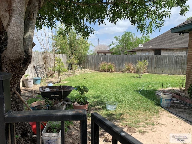 35 Yucatan Ct, Brownsville, TX 78526 - view of yard