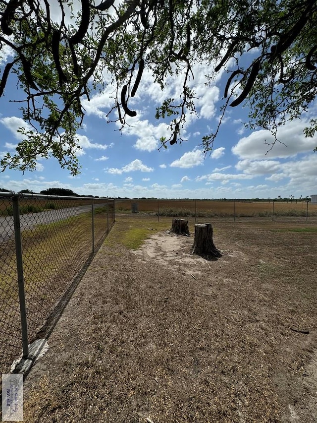 view of yard with a rural view