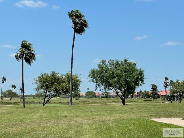 114 Willow Cir, Harlingen, TX 78552 - surrounding community featuring a yard