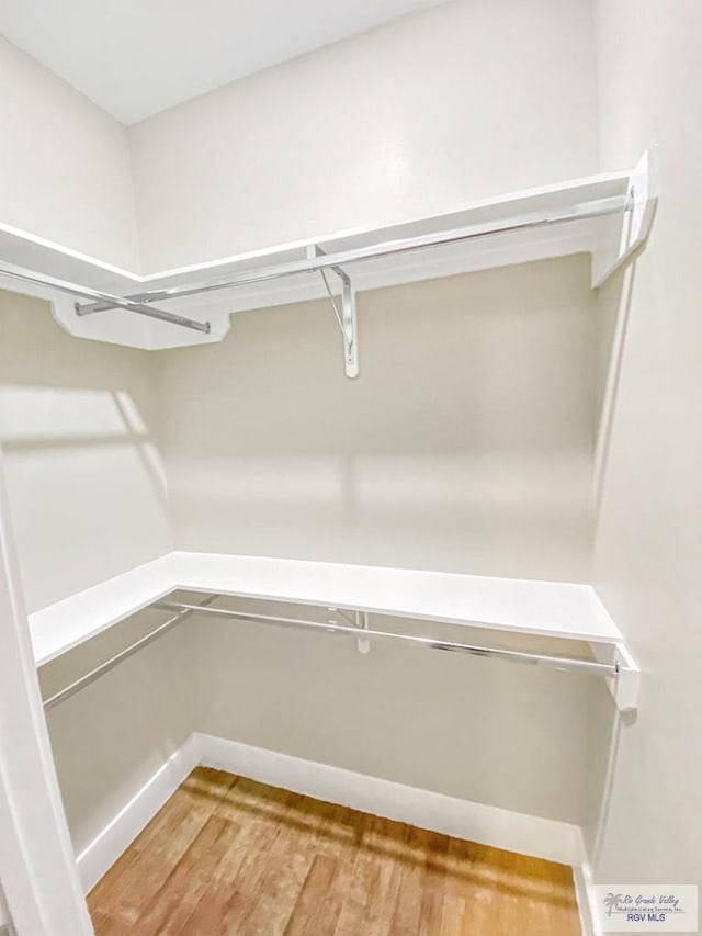 spacious closet featuring light wood-style flooring