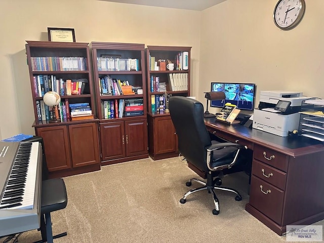 office area with light colored carpet