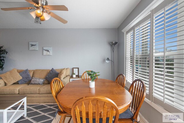 dining area featuring ceiling fan